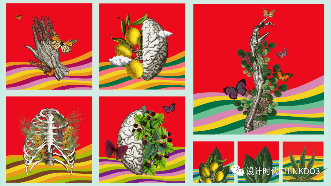 Dieline Awards<a href=http://m.edabuilding.com/sheji/baozhuang/ target=_blank class=infotextkey>包裝</a><a href=http://m.edabuilding.com/ target=_blank class=infotextkey>設(shè)計</a>獎 2022年度獲獎作品