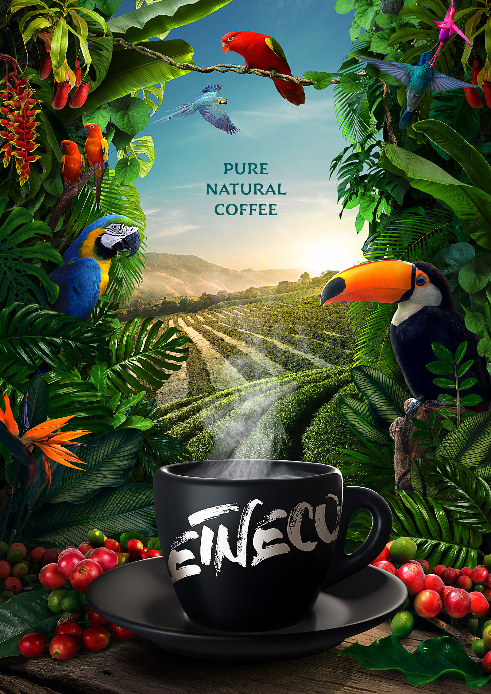 Etneco<a href=http://m.edabuilding.com/sheji/baozhuang/ target=_blank class=infotextkey>b</a><a href=http://m.edabuilding.com/ target=_blank class=infotextkey>O(sh)Ӌ(j)</a>