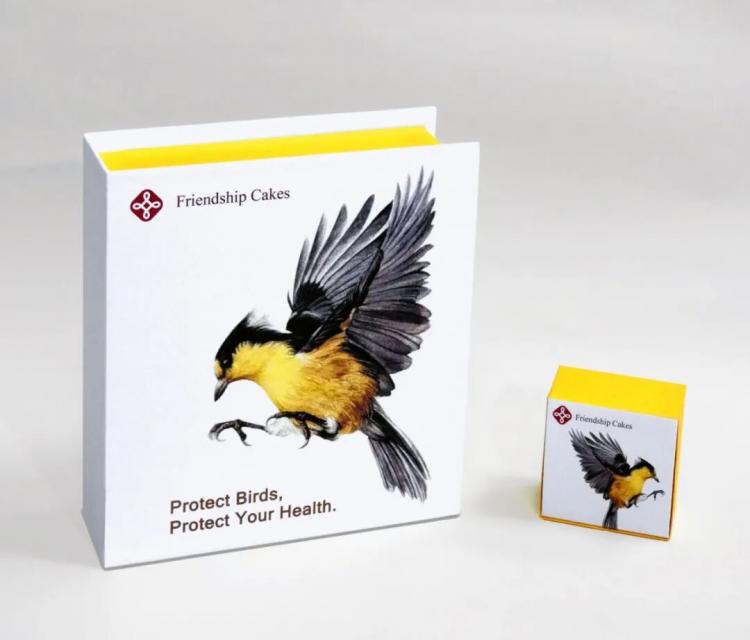 2025紅點品牌與傳達<a href=http://m.edabuilding.com/ target=_blank class=infotextkey>設(shè)計</a>獲獎作品公布145.jpeg