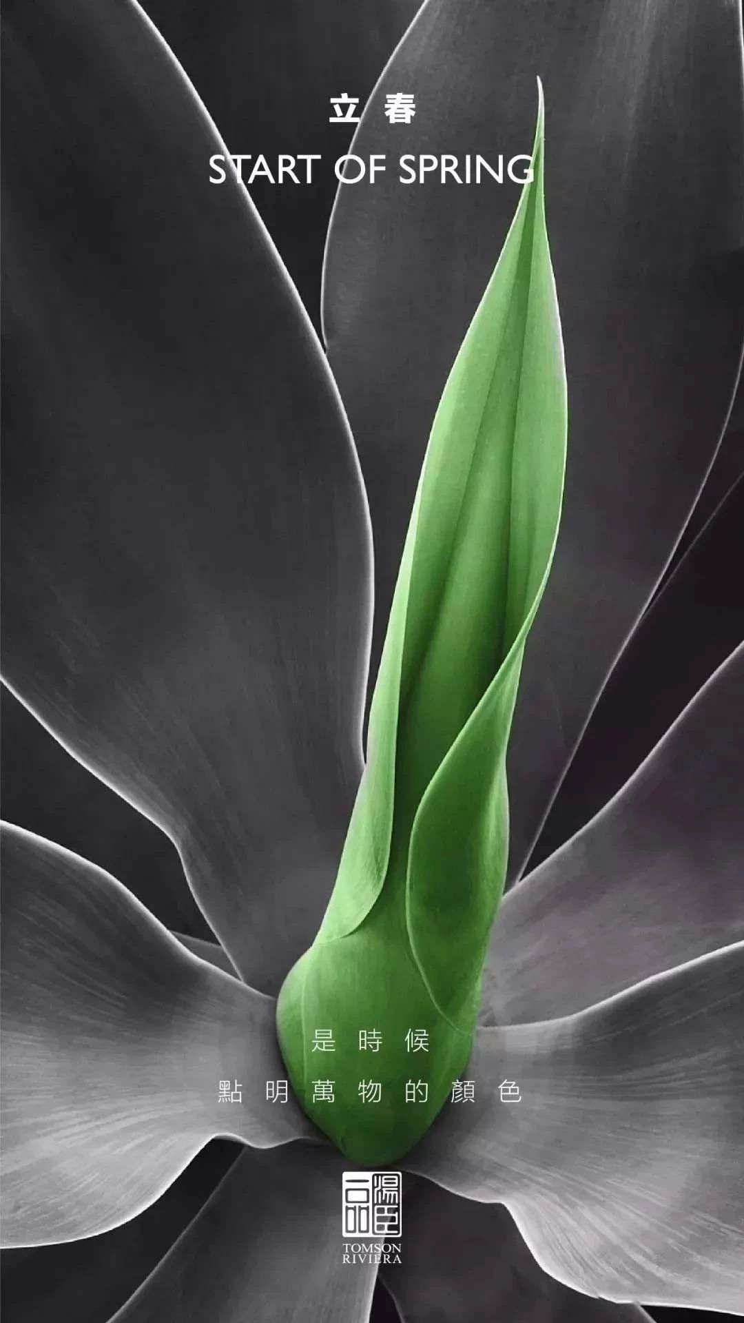 68(sh)(bo)<a href=http://m.edabuilding.com/ target=_blank class=infotextkey>O(sh)Ӌ(j)</a>Ʒ