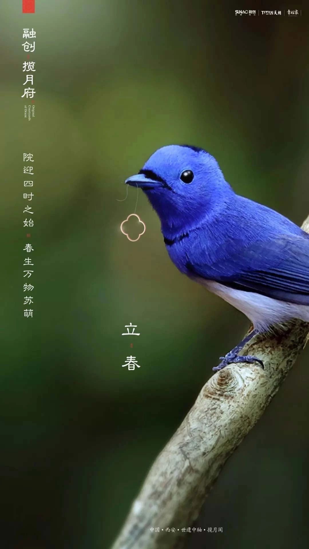 68(sh)(bo)<a href=http://m.edabuilding.com/ target=_blank class=infotextkey>O(sh)Ӌ(j)</a>Ʒ