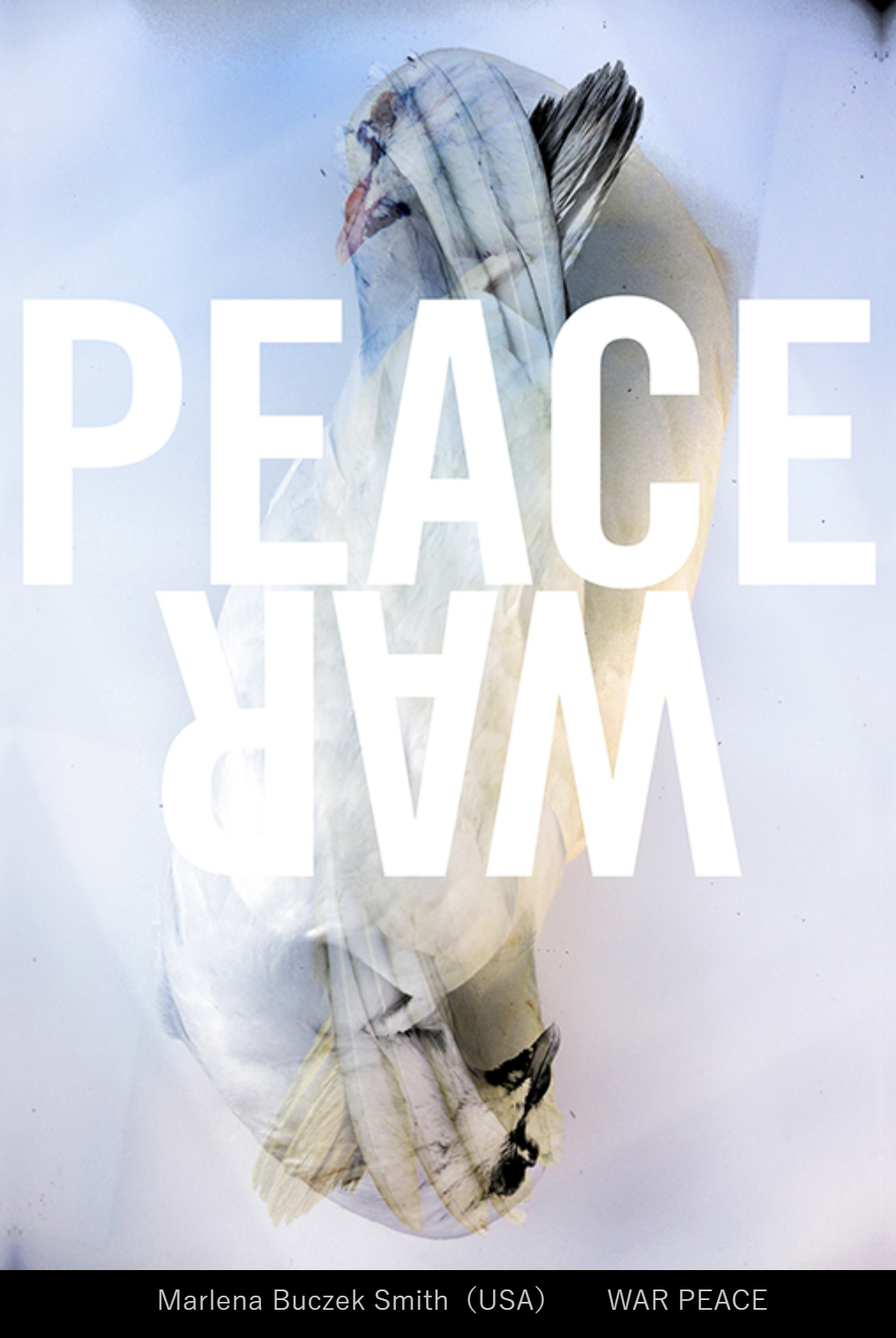 2022ձH(zhn)(bo)չ(yu)Ʒ