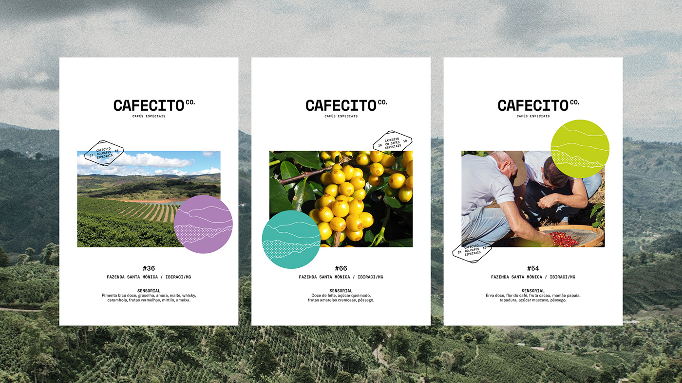 ^CafecitoƷVI<a href=http://m.edabuilding.com/ target=_blank class=infotextkey>O(sh)Ӌ(j)</a>